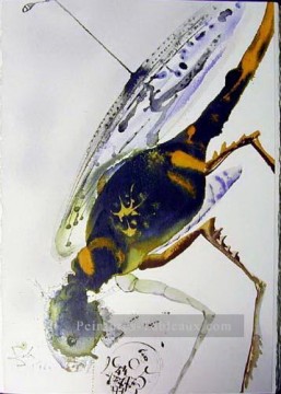 Salvador Dali Painting - Locusta and bruchus Salvador Dali